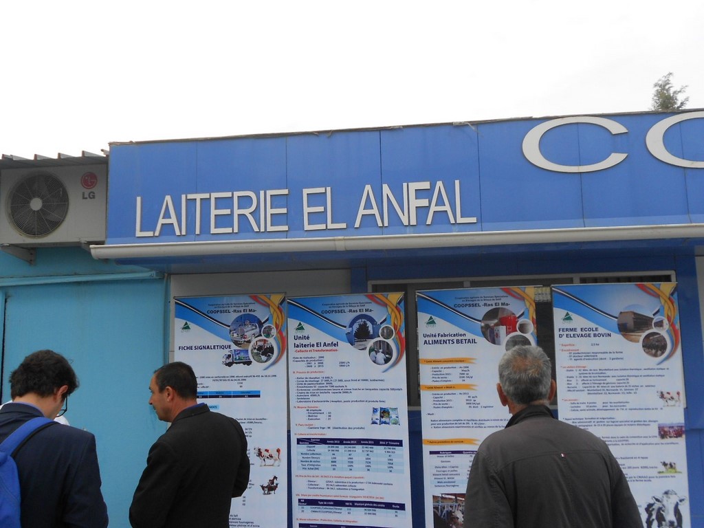 diary plant Setif, Algeria